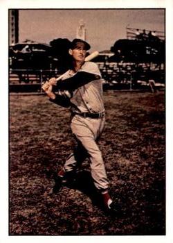 Ted Williams