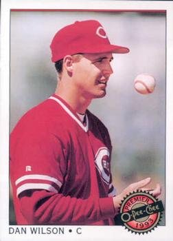 Dan Wilson