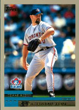 Joey Hamilton
