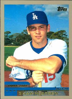 Shawn Green