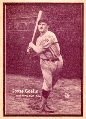 Goose Goslin
