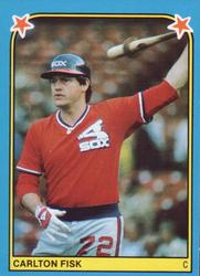 Carlton Fisk