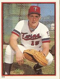 Tim Laudner
