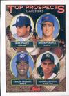 Mike Piazza / Brook Fordyce / Carlos Delgado / Donnie Leshnock TP