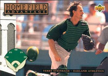 Terry Steinbach
