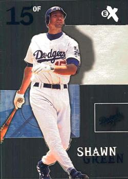 Shawn Green
