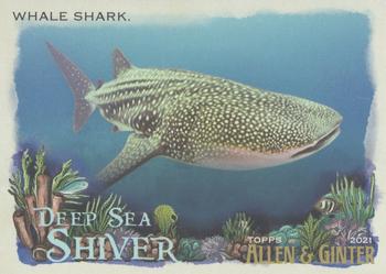 Whale Shark