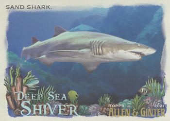 Sand Shark