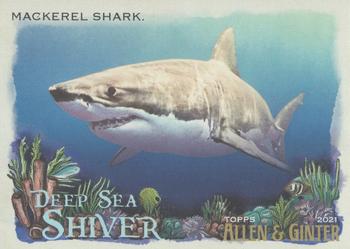 Mackerel Shark
