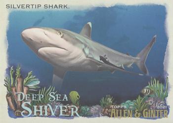 Silvertip Shark