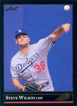 Steve Wilson