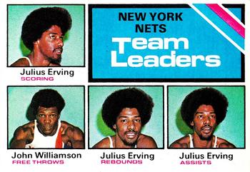 New York Nets Team Leaders (Julius Erving / John Williamson)