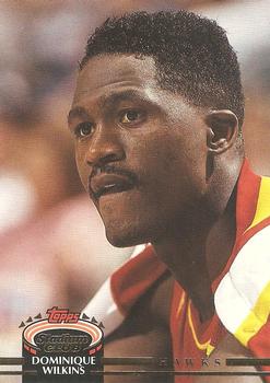 Dominique Wilkins