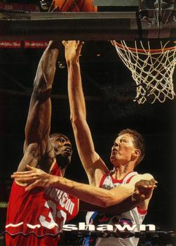 Shawn Bradley