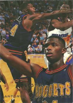 Antonio McDyess