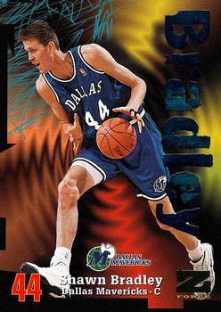 Shawn Bradley