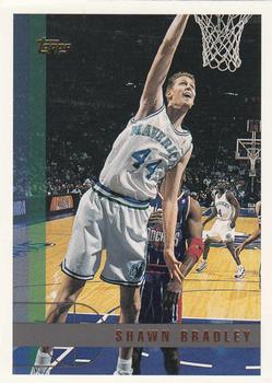 Shawn Bradley