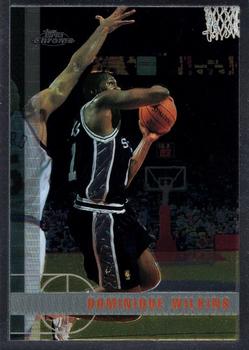 Dominique Wilkins