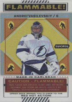 Andrei Vasilevskiy