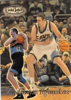 Zydrunas Ilgauskas