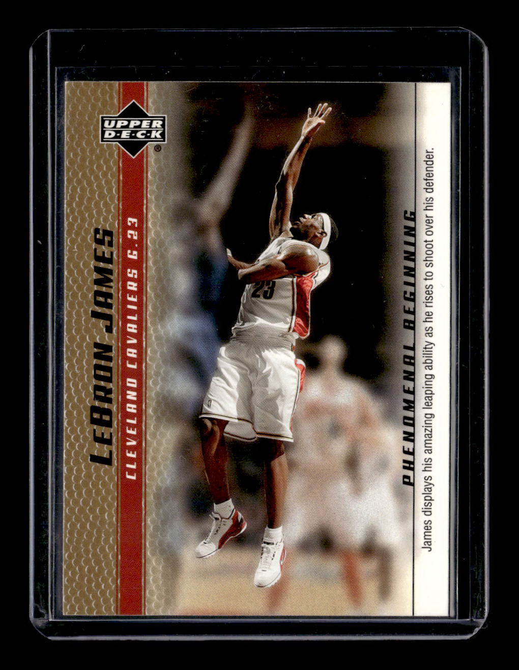 #12 LeBron James