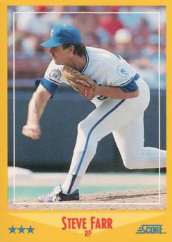 Steve Farr