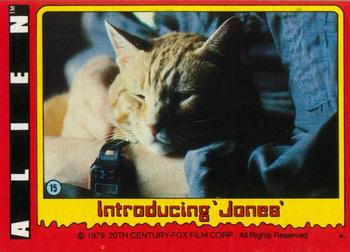 Introducing 'Jones' 