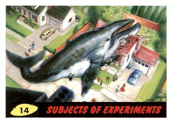 Subjects of Experiments