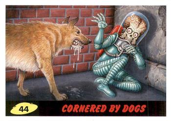 Cornered by Dogs