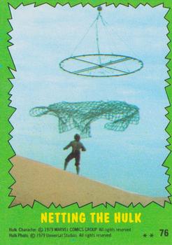 Netting The Hulk 