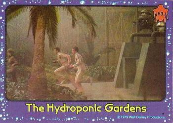 The Hydroponic Gardens 