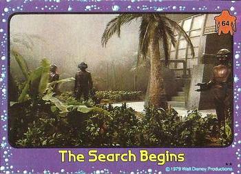 The Search Begins 