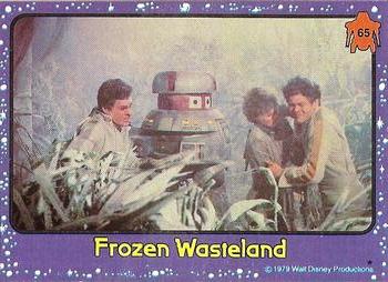 Frozen Wasteland 