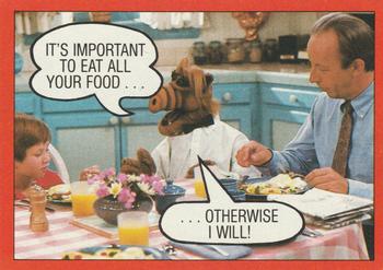 It's important to eat all your food ... Otherwise I will!