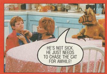 He's not sick. He just needs to chase the cat for awhile!