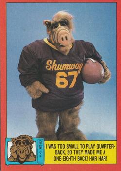 I was too small to play quarterback, so they made me a one-eighth back! Har har!