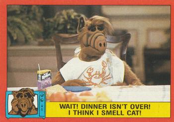 Wait! Dinner isn't over! I think I smell cat!