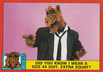 Did you know I wear a size 44 suit, extra squat?