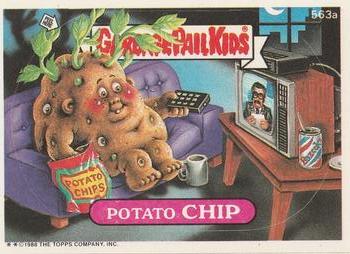Potato Chip