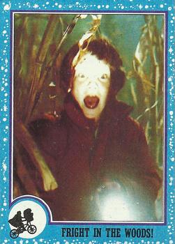 Fright in the Woods! 