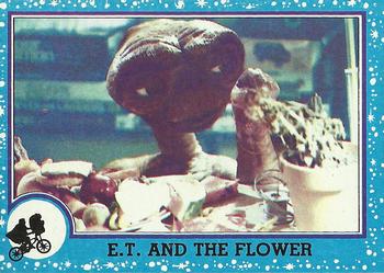 E.T. and the Flower 