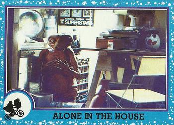 Alone in the House 