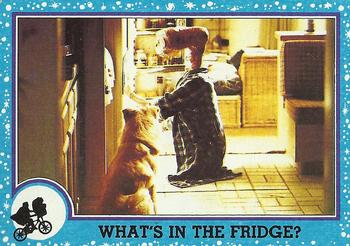 What's In the Fridge? 