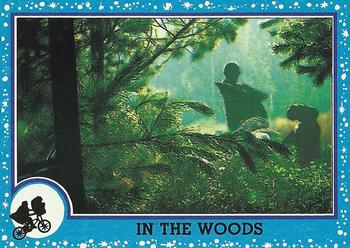 In the Woods 
