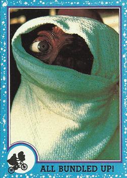 All Bundled Up! 
