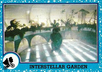 Interstellar Garden 