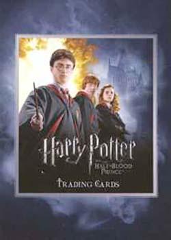 Harry / Ron / Hermione