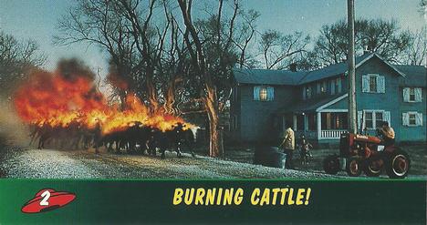 Burning Cattle!