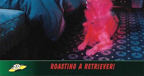 Roasting a Retriever!