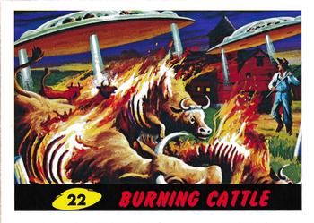 Burning Cattle